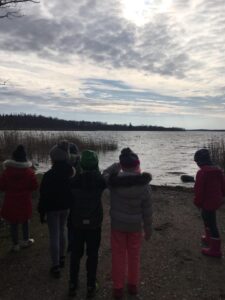 Kühmnokk-luiged Klooga järvel (Laulasmaa Kool Klooga koolimaja 2.klass)