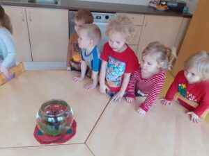 Sinililled uurivad elurikkust (Põlva lasteaed Mesimumm)