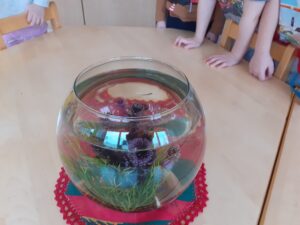 Sinililled uurivad elurikkust (Põlva lasteaed Mesimumm)