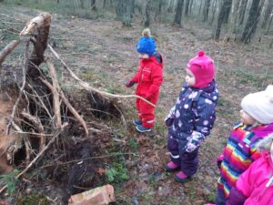 Sinililled uurivad elurikkust (Põlva lasteaed Mesimumm)