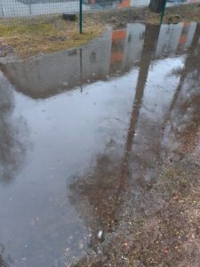 Sinililled uurivad elurikkust (Põlva lasteaed Mesimumm)