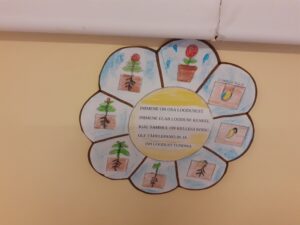 Sinililled uurivad elurikkust (Põlva lasteaed Mesimumm)
